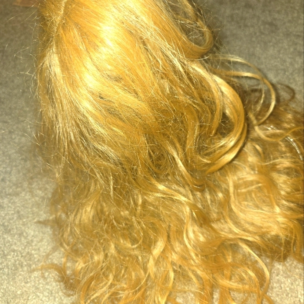 Blonde ombre wig